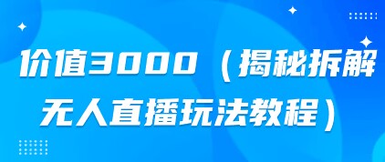 价值3000（揭秘拆解无人直播玩法教程）