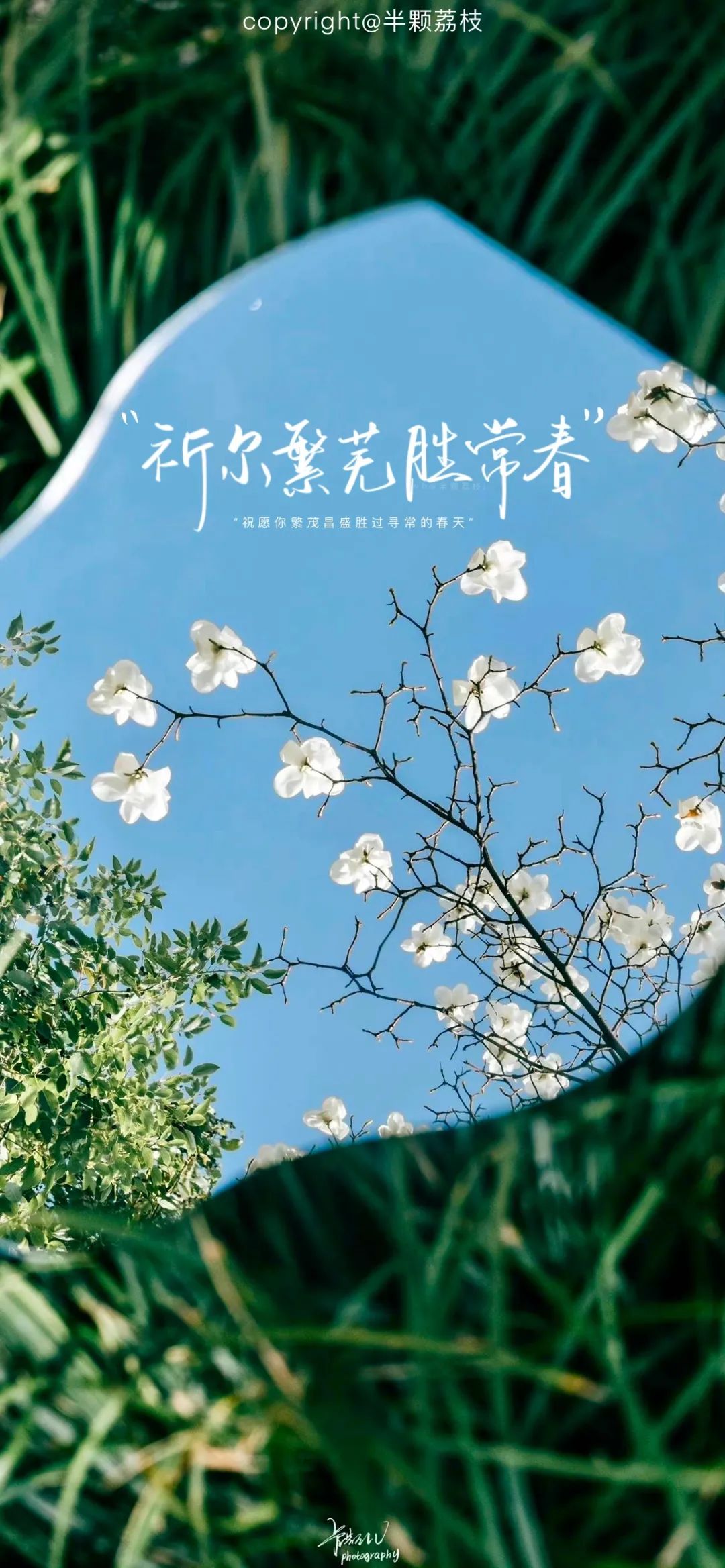 春天壁纸 “祈尔繁芜胜常春”