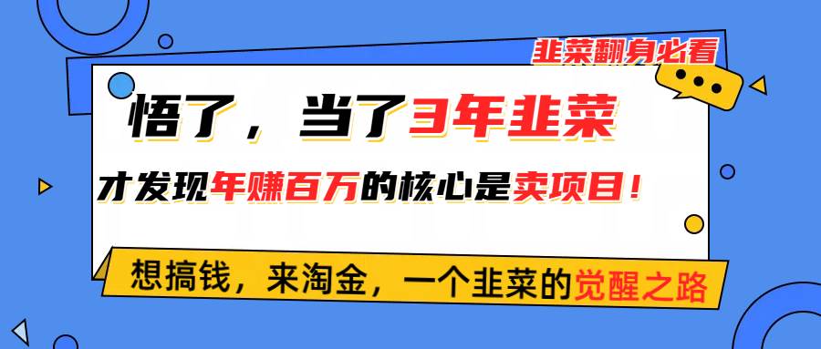 悟了，当了3年韭菜，才发现网赚圈年赚100万的核心是卖项目，含泪分享！